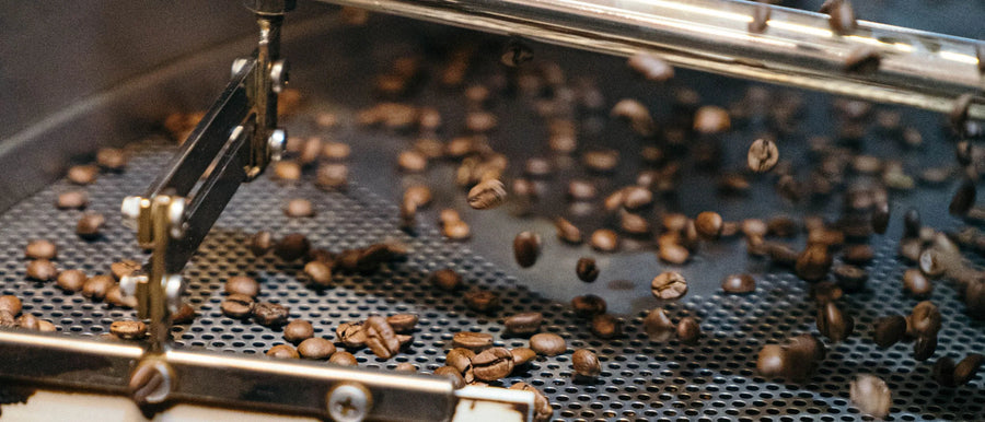 Best Espresso Coffee Beans NZ — Our Top Picks for Home Espresso