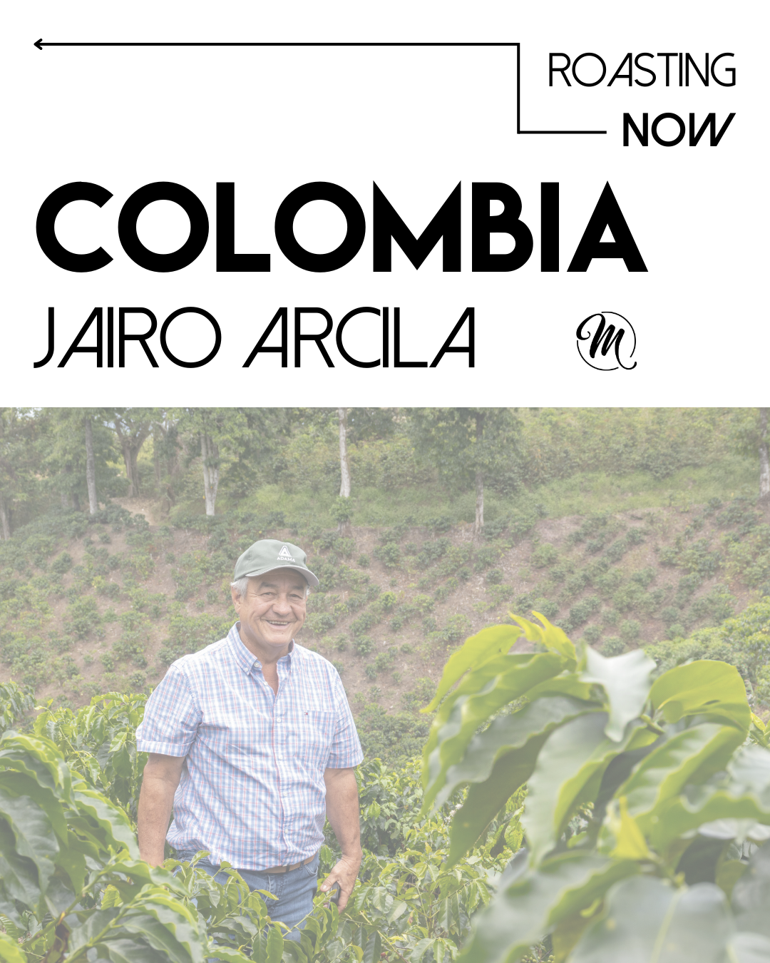 Colombia Jairo Arcila - Honey Rainbow Specialty Decaf