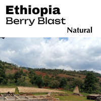 Ethiopia Gargari - Natural | Berry Blast