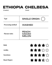 Ethiopia Chelbesa - Natural