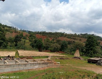 Ethiopia Gargari - Washed