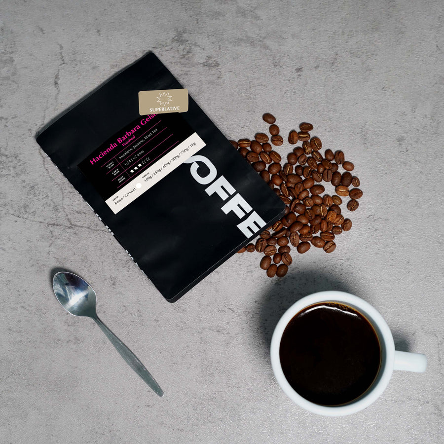 Panama Geisha Coffee - Hacienda Barbara Washed