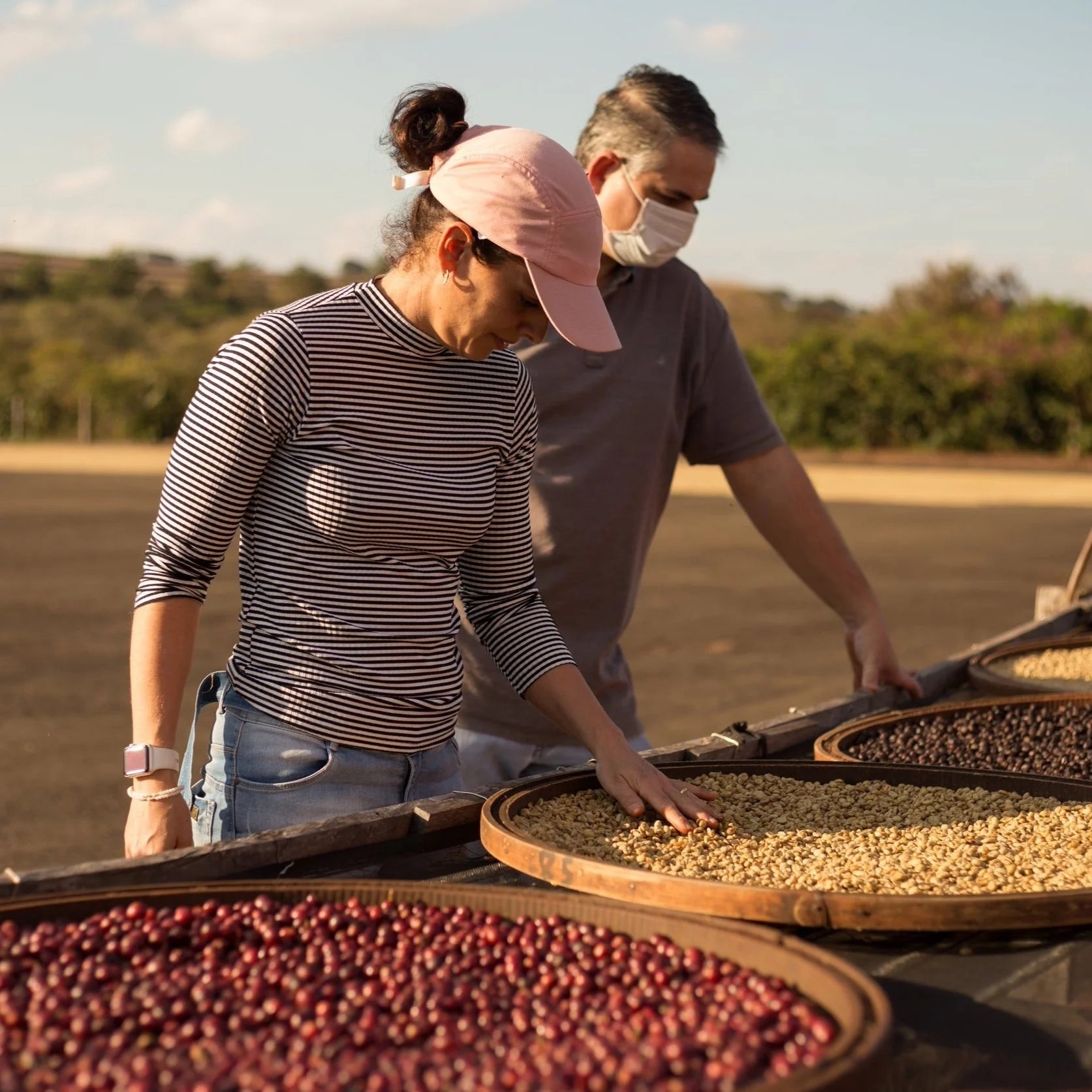 Brazil Light - Low Acid Coffee