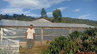 Peru Dark