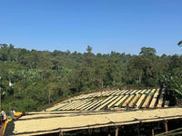 Ethiopia Chelbesa - Natural