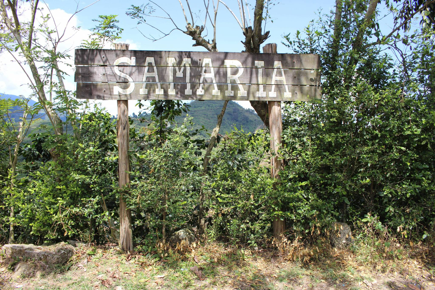 Colombia Samaria Risaralda - Natural