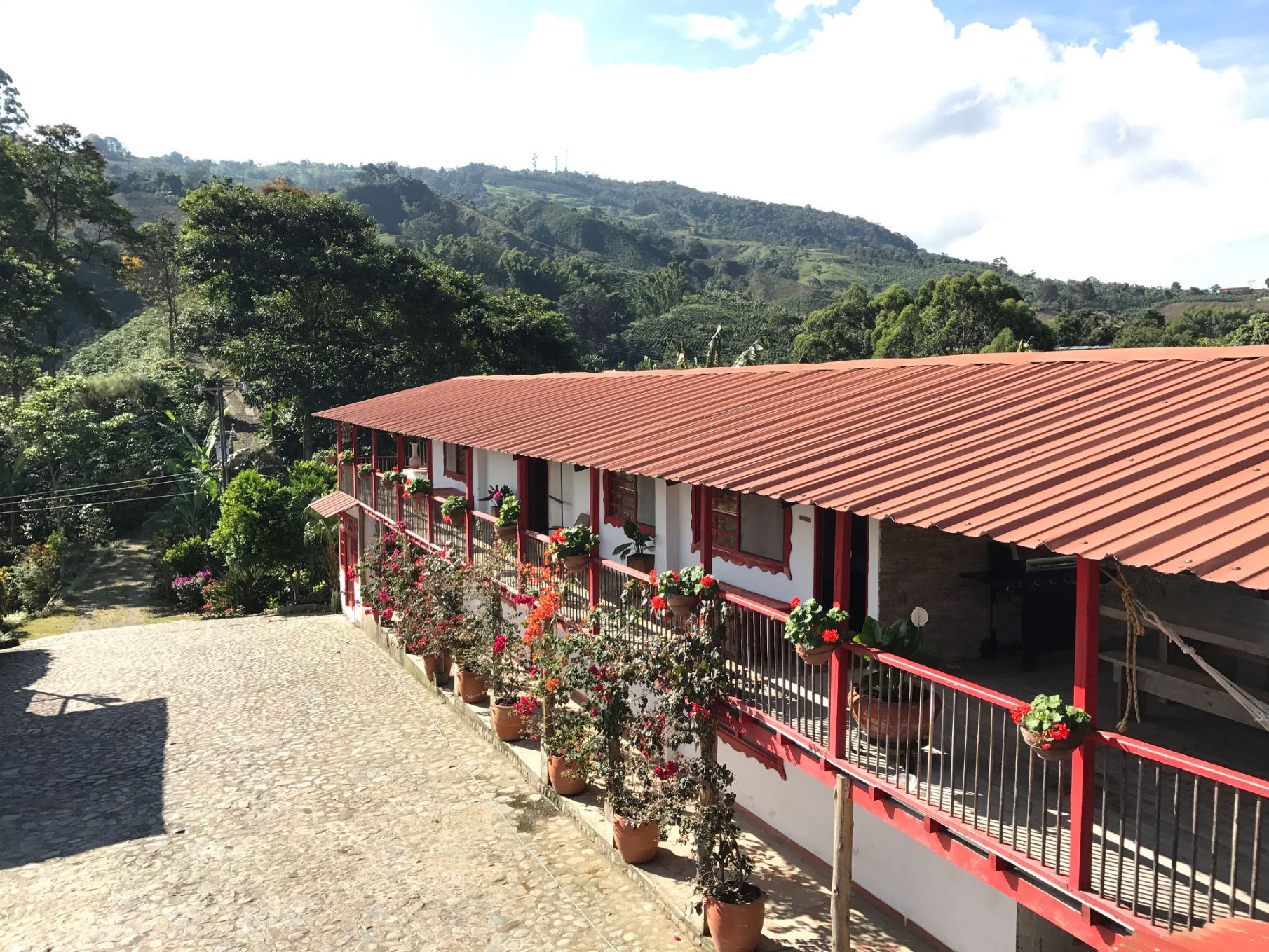 Colombia Samaria Risaralda - Natural