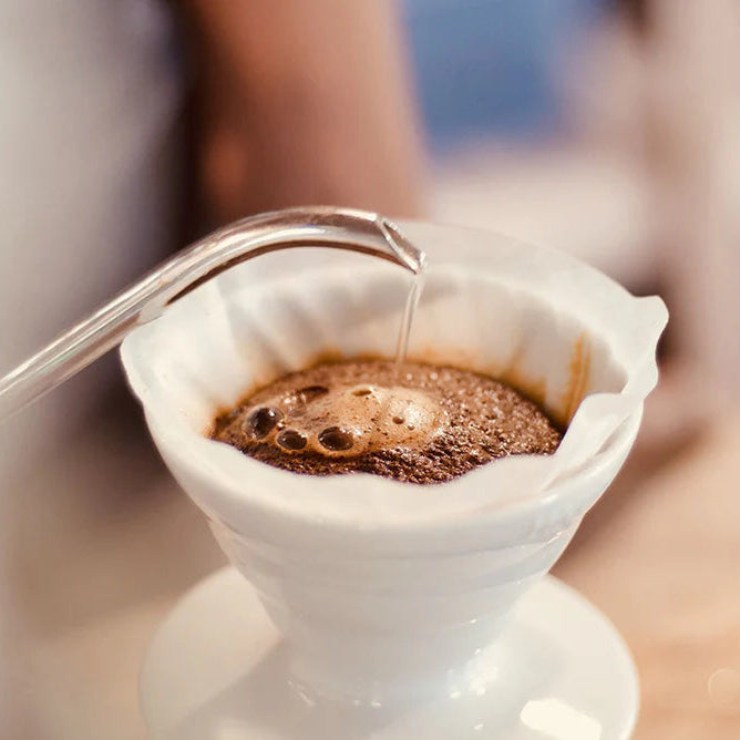 Hario V60 Starter Pack: White Dripper + Filter Papers + 100g Coffee