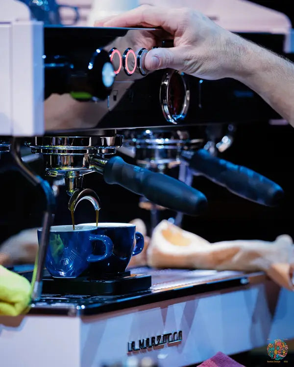 Barista expert training